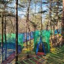 흥림산자연휴양림 이미지