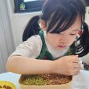 키즈 쿠키 & 클레이 | 대구 키즈쿠킹클래스 위트키즈 창의놀이터 내돈내산 체험 후기