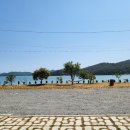 바다나루 이미지