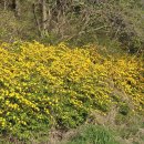 훼밀리주유소 이미지