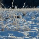 용산-377 | [서울 용산 용산구 고시원 고시텔 원룸텔 추천] 고시원홈 고시원홈, 신용산역 377