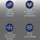 뮤트