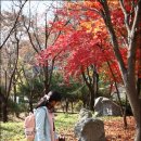 용인시민체육센터 화장실 이미지