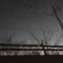 강서체육공원 이미지