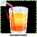 저스트도그 단구점 네이버블로그