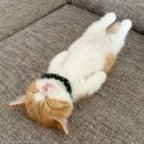 놀아줘 - 영등포구 선유동1로 6-7 | 놀아줘