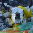 힐스토리펜션 이미지