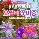 GS25대전한밭점 | [대전 가볼만한곳] 한밭수목원 오월의 꽃마중 후기｜장미·작약·으아리 개화