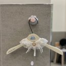 펫앤조이 네이버블로그