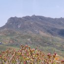 산용목장 | (합천) 모산재 황매산 산행기(2003,04,27)