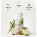 유정환경 | 식이섬유정으로 시작하는 다이어트 스타터 루틴｜순환 정체 리셋하고 다이어트 정체기 돌파한 솔직 후기