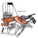 소운소 Ark Gym 이미지