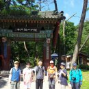 용문산약초 Daum카페