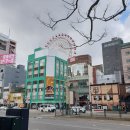 북해도골프여행 여름시원한골프 삿포로골프 북해도골프장 실제후기