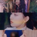 동화1차A 이미지