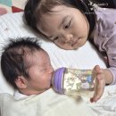 주식회사 합동특수가스 | 신생아분유추천 앱솔루트 센서티브, 첫분유·분유갈아타기와 리안드림콧 아기띠
