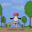 여름빌라 이미지