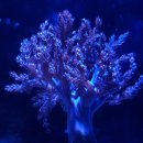 반달섬PC 이미지