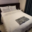 호텔벤 | 강남 가성비 역삼 벤 호텔 금연객실 내돈내산 솔직후기