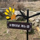 이천마을회관 | (근교 가볼만한 곳) 이천 산수유마을, 산수유마을 후기, 백사 산수유마을, 산수유 현황(3.31.) 산수유축제