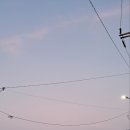 바닷가 신촌리 마당 이미지