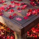 어느60대 노부부이야기 이미지