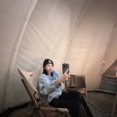 세이스테이 이미지