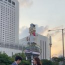 최민영 이미지