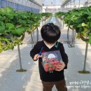 두솔농장 이미지