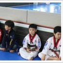 용인대 한얼 태권도 이미지