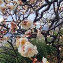 밀양향교 이미지