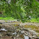 어유소장군 사당 이미지