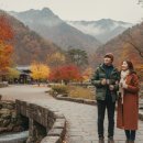 화암관광지 | 정선 화암약수계곡 11월 늦가을 단풍 여행 솔직 후기
