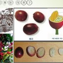 안동게스트하우스유귀농 이미지