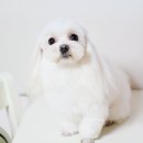 하랑푸드 이미지