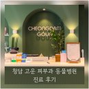 청담 고운 피부과 동물병원 이미지
