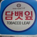 담뱃잎가게 이미지
