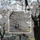 현대백화점(더현대서울) | 2026 영등포 여의도 벚꽃축제 러너스테이션 현대백화점 더현대 서울 하트티라미수 마일스톤 커피 고디바