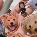 치타박스 이미지