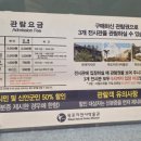 남농로 | 목포 아이와 재밌는 박물관 자연사박물관 후기 미디어 아트 시간표 7살 아이가 좋아한 공룡박물관