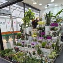 옥정마트약국 이미지