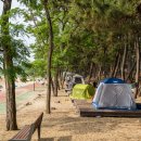 용두해수욕장숲속야영장 이미지