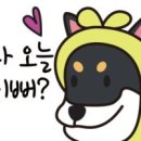 현 동물병원 이미지