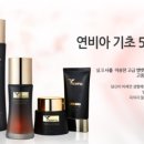 다움코스메틱