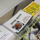 스테이서프픽 | 강릉 숙소 내돈내산 추천 사천진 료칸스테이