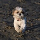 영주동물병원 이미지