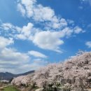 상주추어탕 네이버블로그