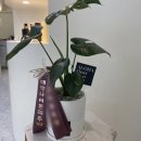 아산배방꽃집 알로하플레르 개업선물 했어요 : )