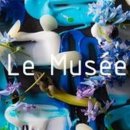 뮤제(MUSEE) 이미지