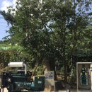 실로암농장 이미지